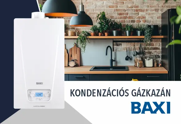 Baxi